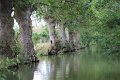 (26) Le Marais Poitevin